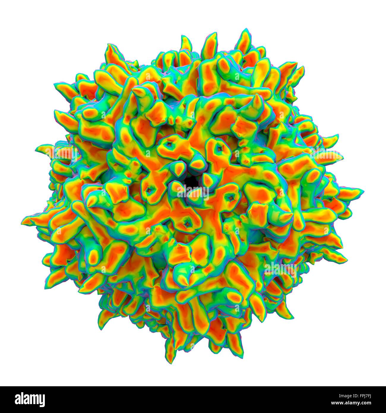 Adeno assoziiertes virus Fotos und Bildmaterial in hoher Auflösung