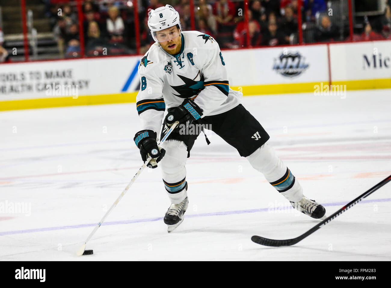 19. Februar 2016 - Raleigh, North Carolina, USA - San Jose Sharks center Joe Pavelski (8) während der NHL-Spiel zwischen den San Jose Sharks und den Carolina Hurricanes in der PNC-Arena. (Kredit-Bild: © Andy Martin Jr. über ZUMA Draht) Stockfoto