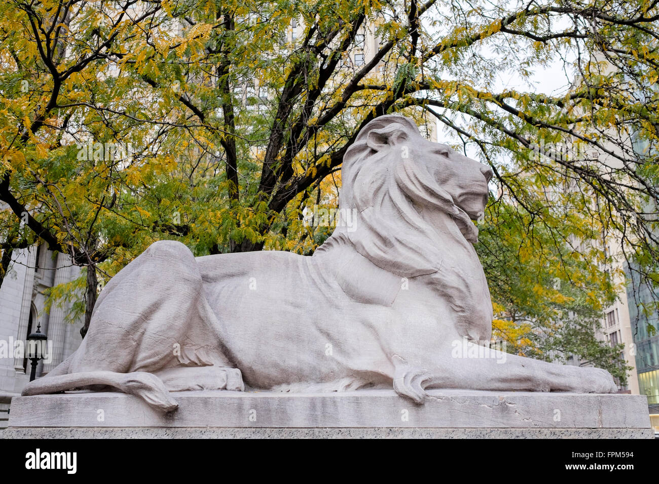 Eines der berühmten Löwen Skulpturen von Edward Clark Potter an der New York Public Library am Fifth Avenue & 42nd Street in New York City, USA. Stockfoto