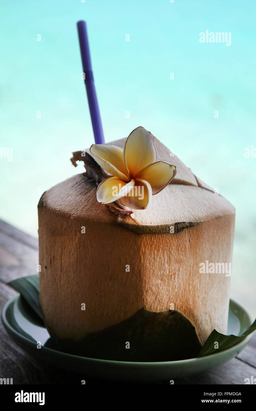 Frische Kokosnuss mit Strohhalm und Blume, Koh Tao, Thailand Stockfoto