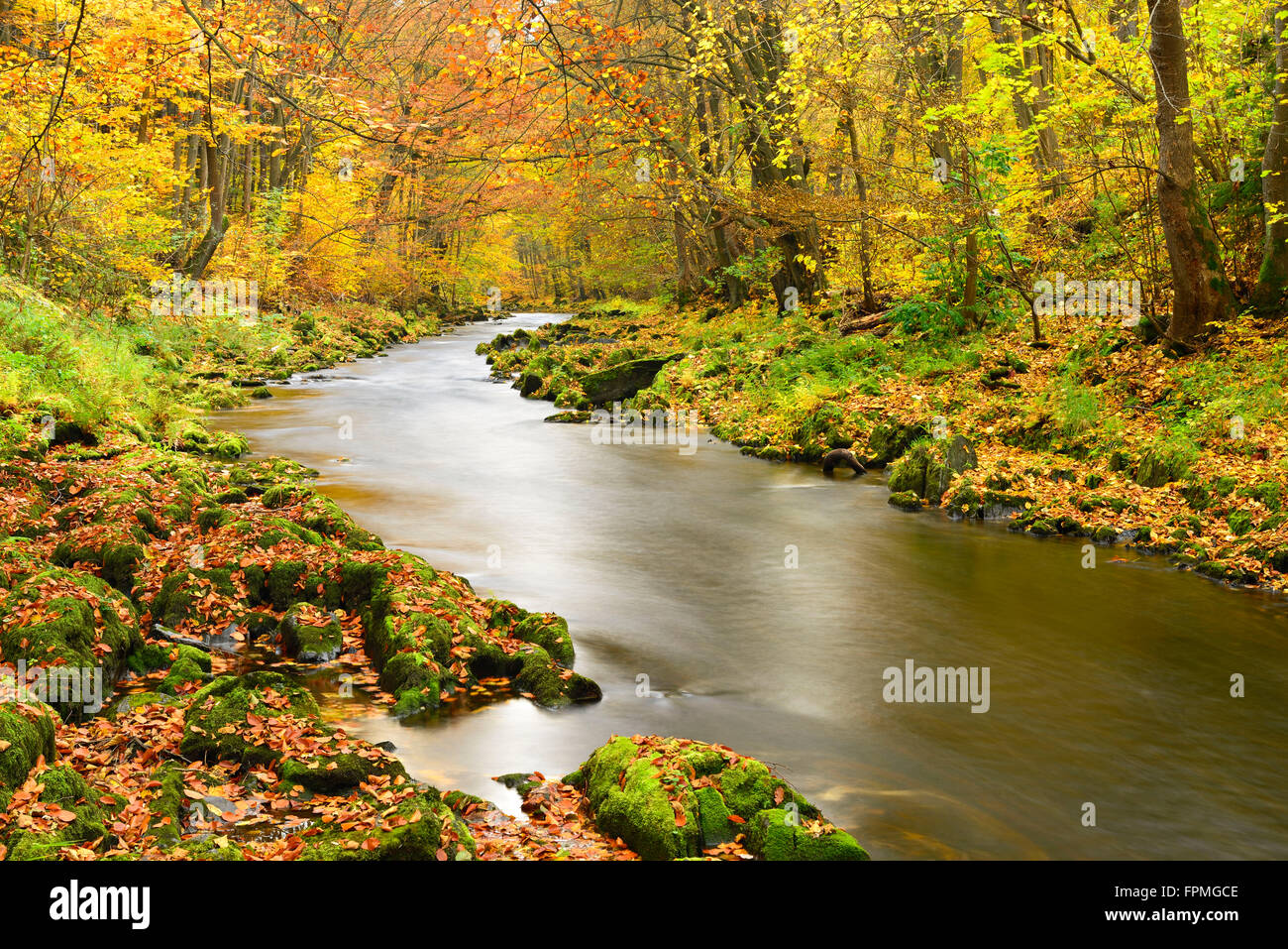 Deutschland, Thüringen, Herbst am Fluss Schwarza in der Schwarza-Tal zwischen Bad Blankenburg und Schwarzburg Stockfoto