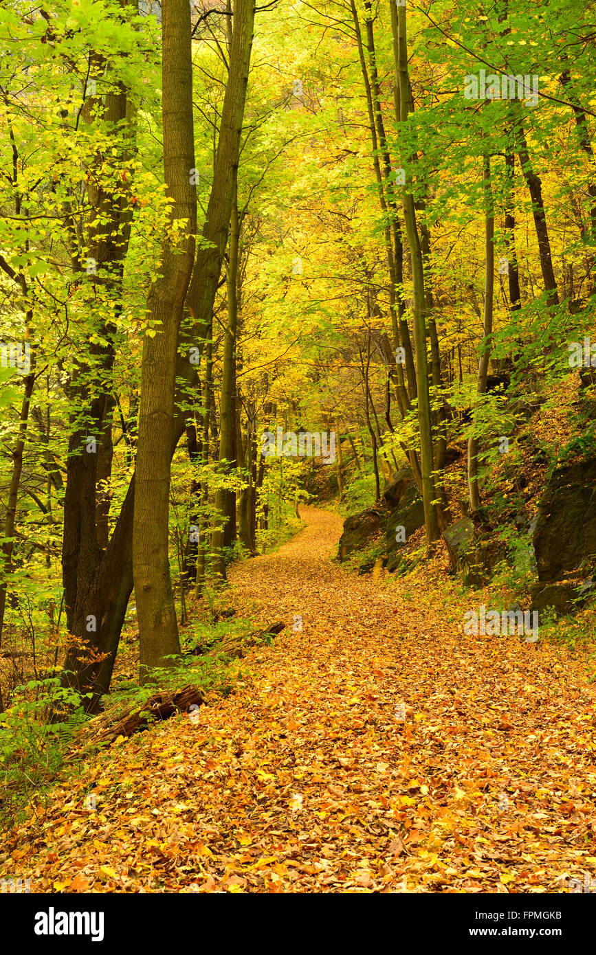 Deutschland, Thüringen, Wanderweg in der Schwarza-Tal zwischen Bad Blankenburg und Schwarzburg im Herbst Stockfoto