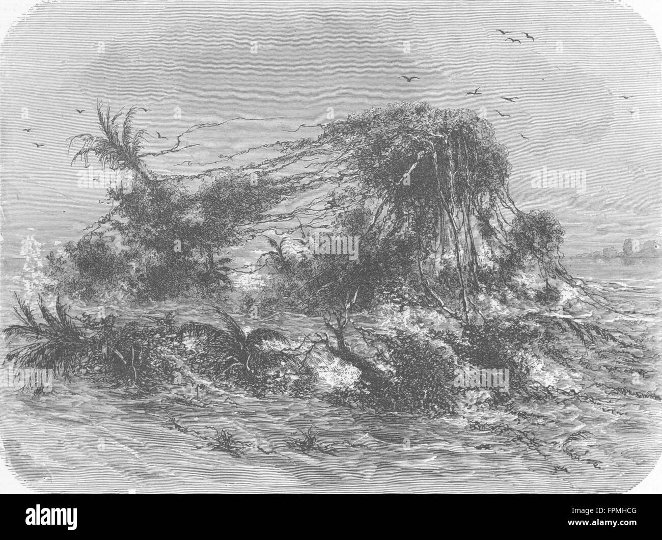 FLORIDA: Schwimmende Insel, Antique print 1880 Stockfoto