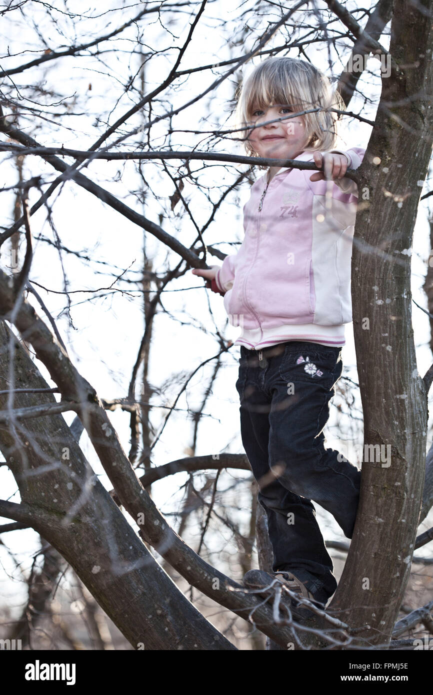 Mädchen auf einem Baum Stockfoto