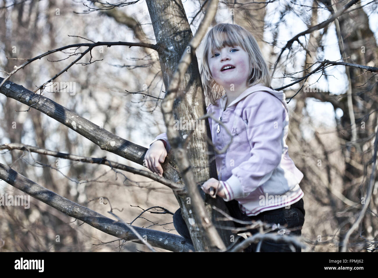 Mädchen auf einem Baum Stockfoto