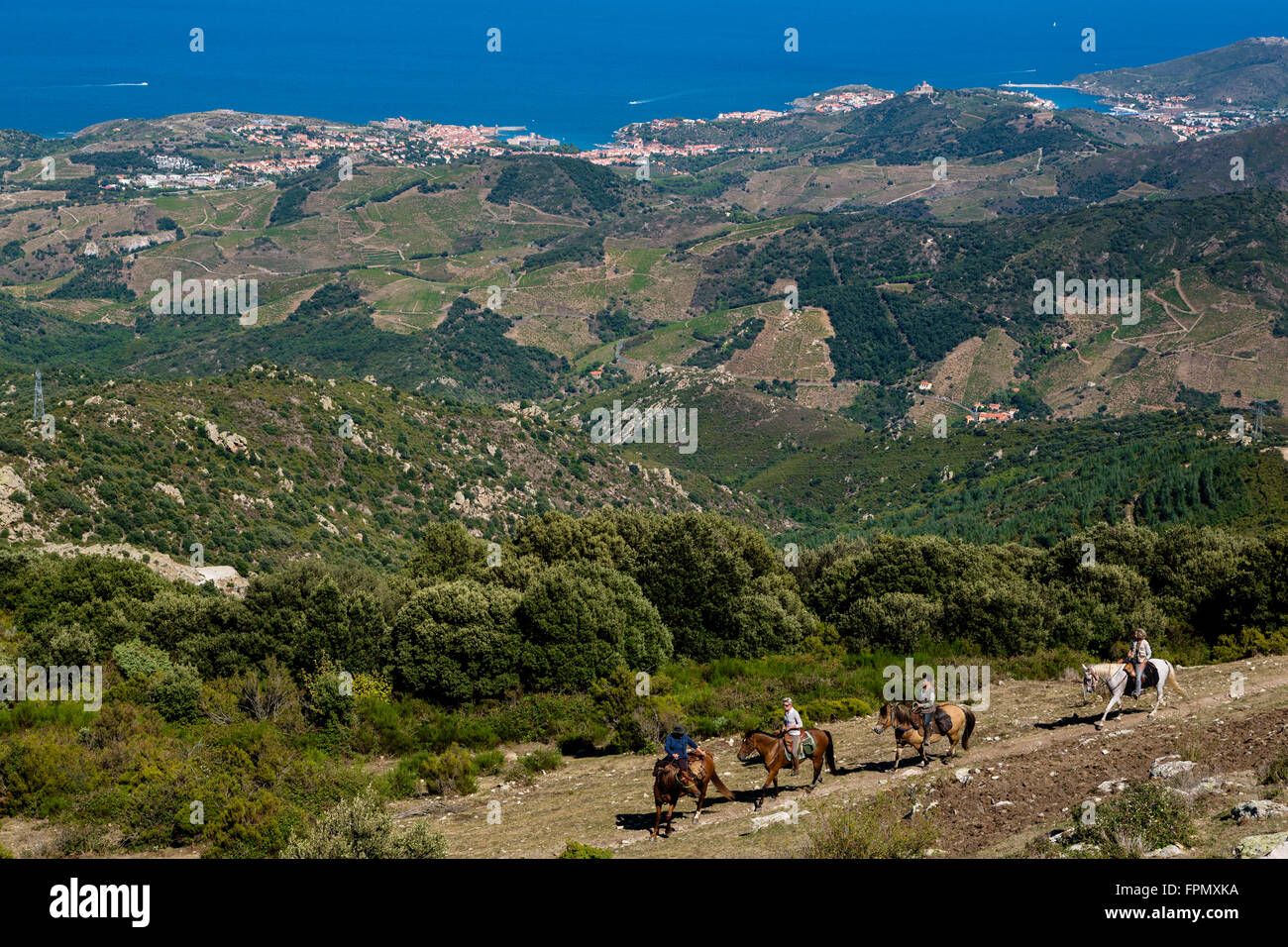Reiten über Collioure, Pyrenäen Orientales, Frankreich Stockfoto