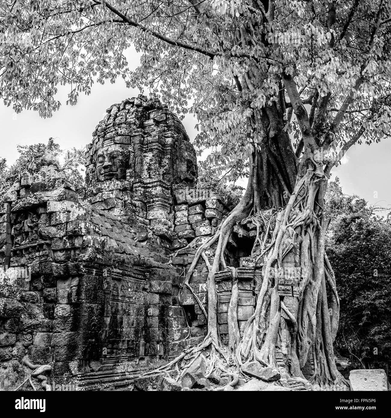Vintage-Effekt Schwarz-weiß-Foto von spektakulären Feigenbaum Ficus Religiosa, völlig überwältigend der östliche Gopura nächsten t Stockfoto