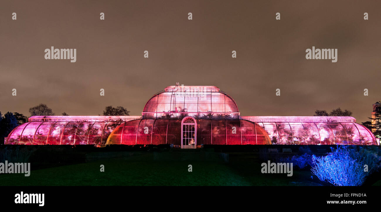 Das Palmenhaus nach dunklen Weihnachten Xmas saisonale Beleuchtung Beleuchtung Kew Gardens, London UK. Stockfoto