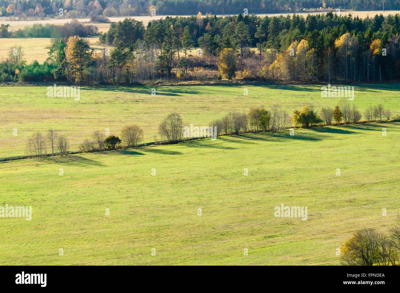 Von oben Blick auf Wiese und bunten Bäumen, Herbstlandschaft Stockfoto