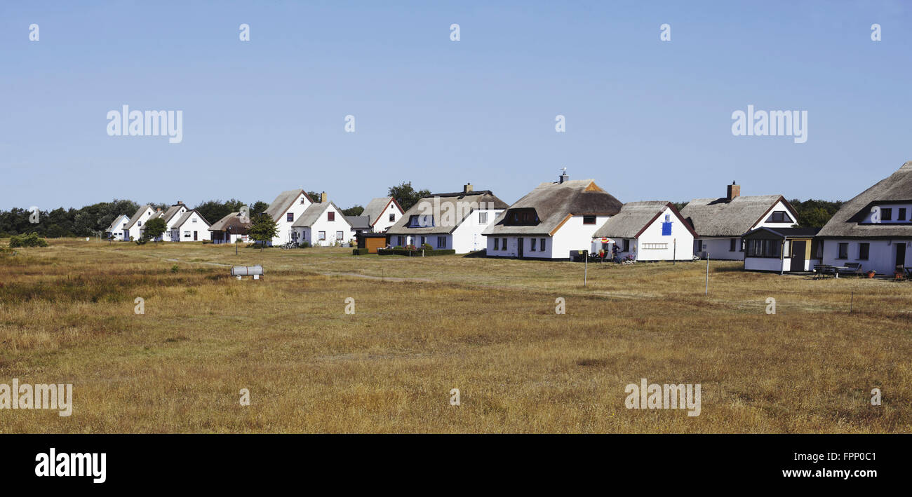 Häuser in Neuendorf, Insel Hiddensee Stockfoto