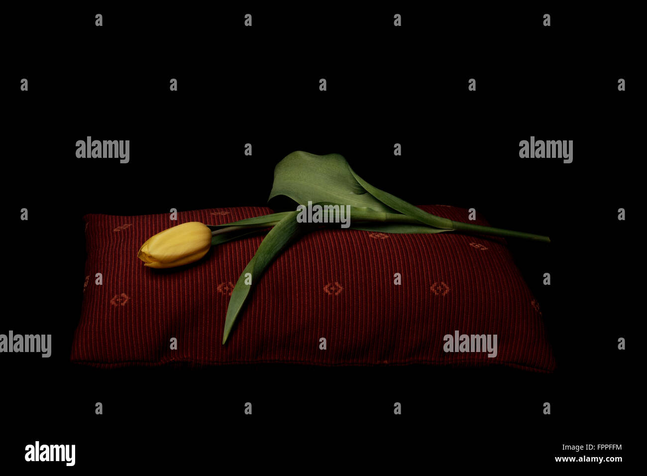 Einzelne gelbe Tulpe Verlegung auf einem dunklen roten Kissen, retro, Vintage, Romantik Stockfoto