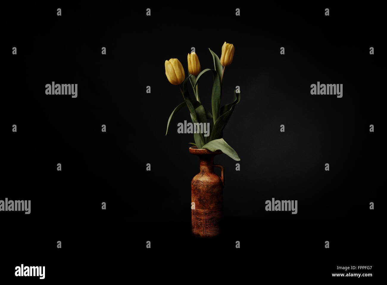 Gelbe Tulpen in einer Keramikvase, atmosphärische Stillleben, schwarzen Hintergrund isoliert Stockfoto