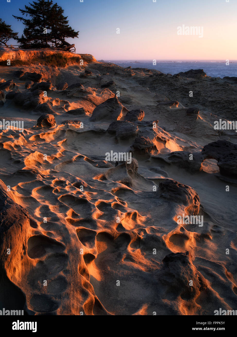 Felsformationen aus Sandstein und untergehende Sonne Shore Acres State Park, Oregon Stockfoto