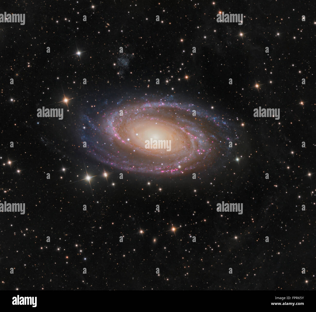 Messier 81 Spiralgalaxie im Sternbild Ursa Major. Stockfoto