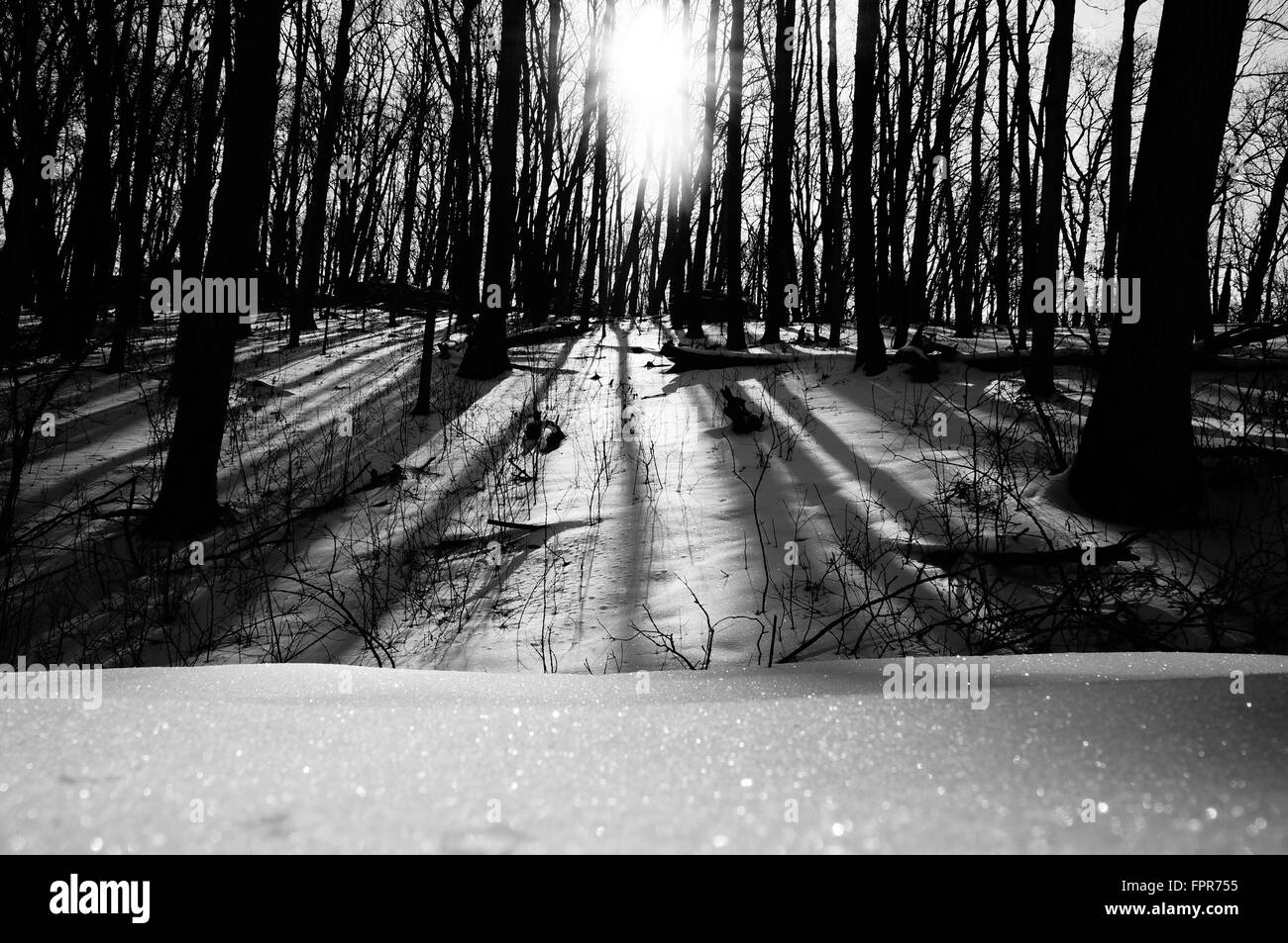 Ein Spaziergang in den ruhigen Park. Stockfoto