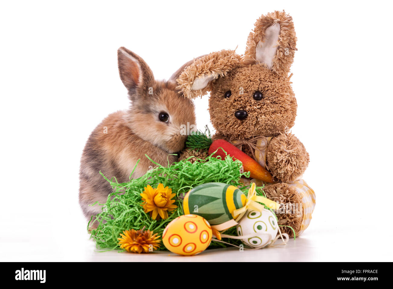 Bunte Kaninchen mit Ostern Eiern auf weißem Hintergrund Stockfoto