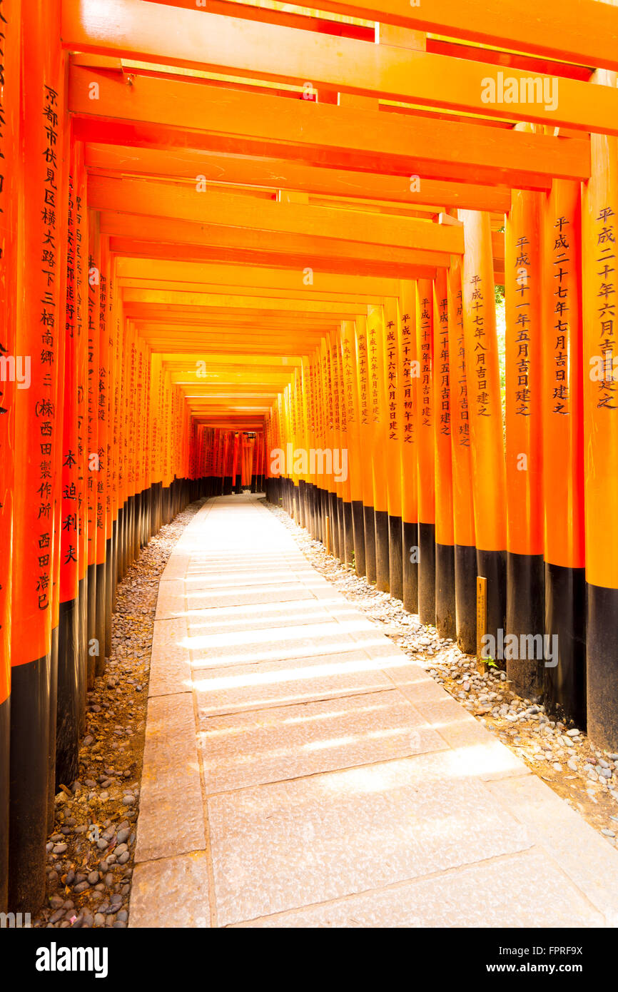 Japanischer Text geschrieben am bunten roten Torii Toren unterstützt Wiederholung im Fushimi Inari-Taisha Schrein mit keine anwesenden in Ky Stockfoto