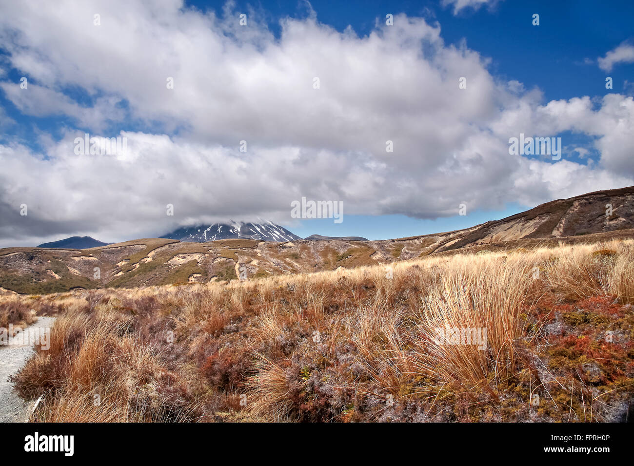 Karge Landschaft im Tongariro National Park, Manawatu-Wanganui, Neuseeland Stockfoto