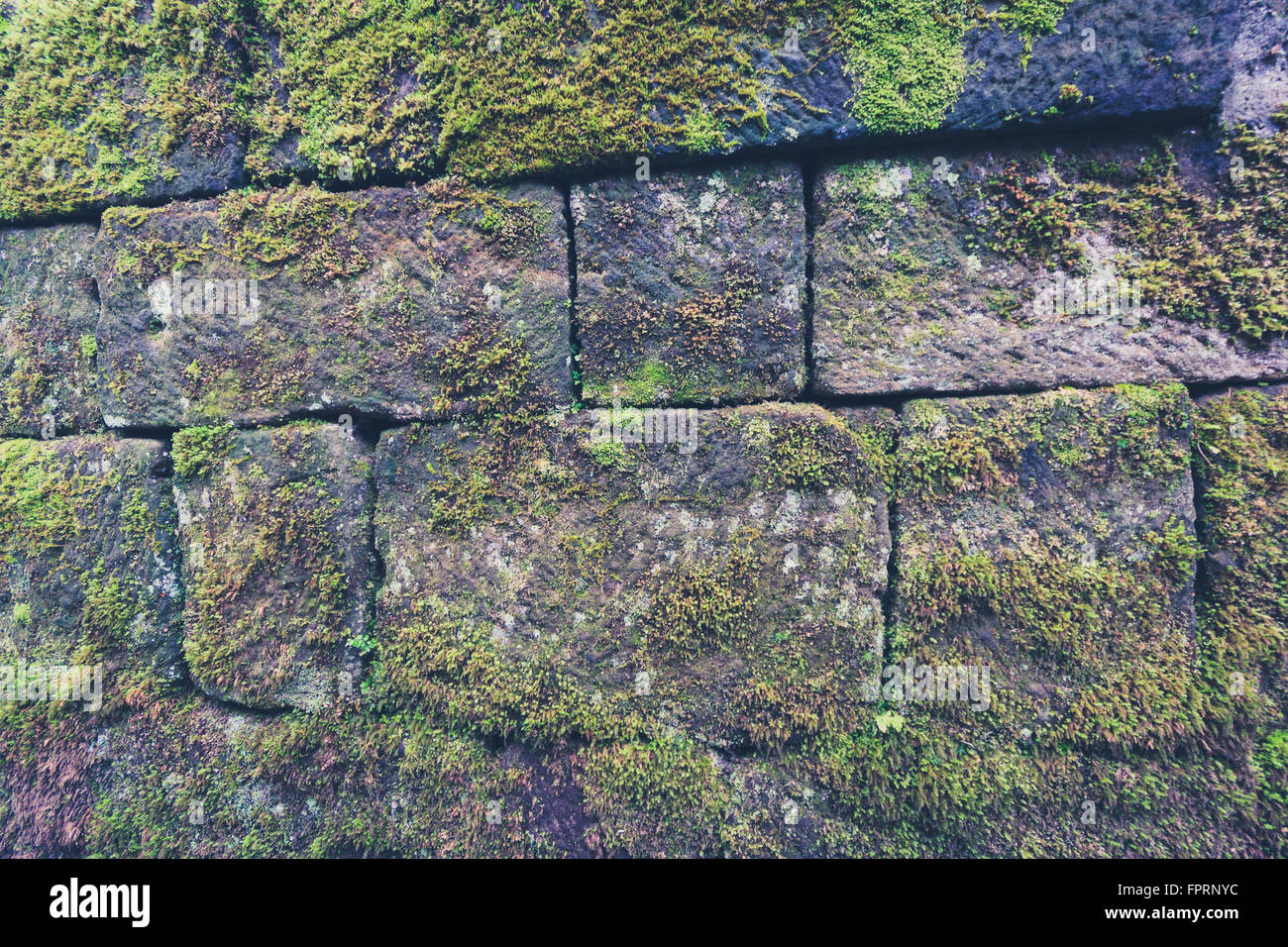 alte Steinmauer mit grünem Moos bewachsen Stockfoto