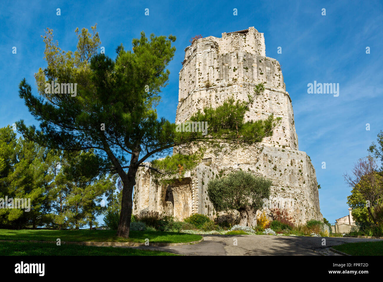 Der Römerturm Magne, Park von la Fontaine, Nimes, Gard, Frankreich Stockfoto