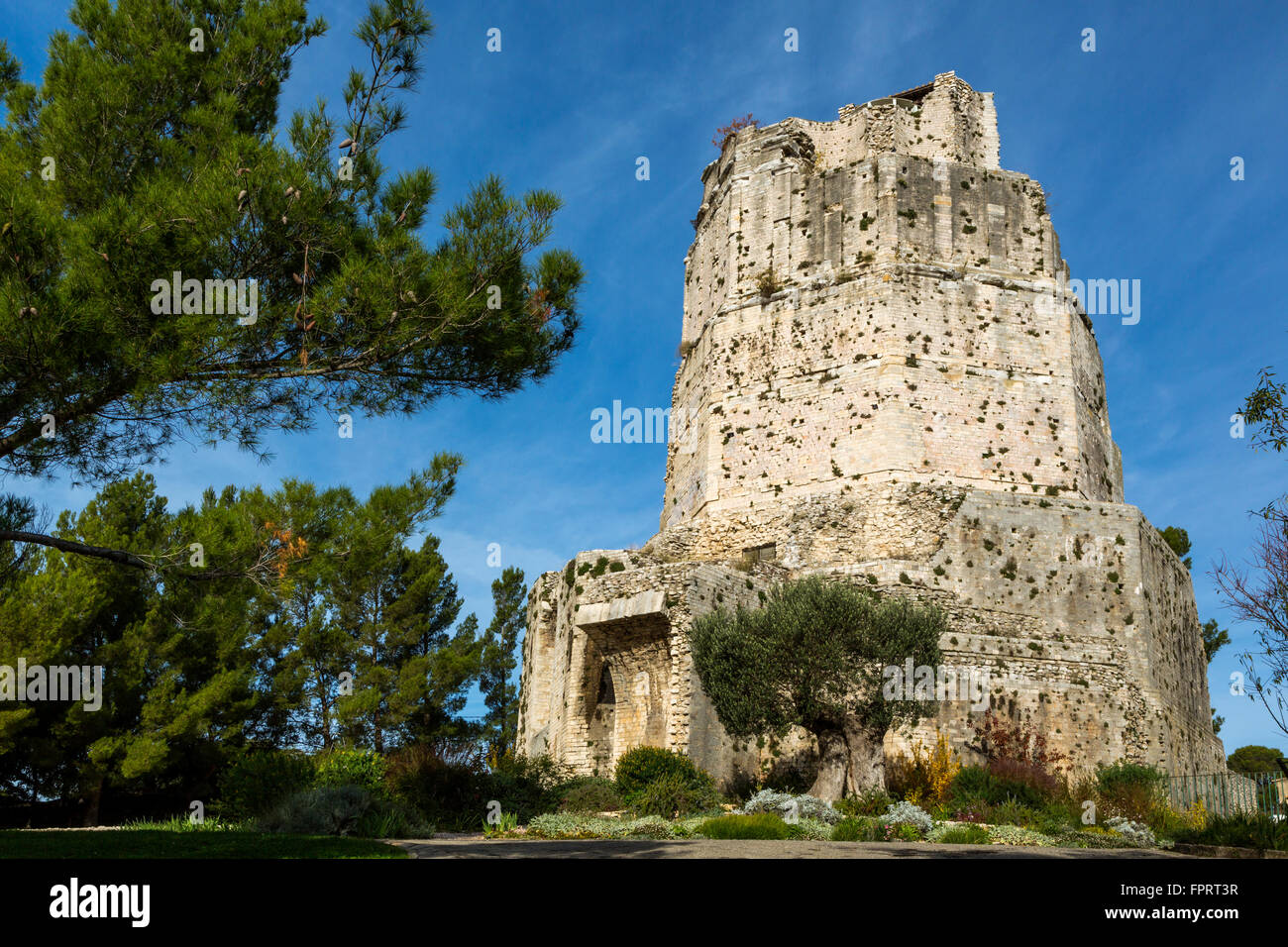 Der Römerturm Magne, Park von la Fontaine, Nimes, Gard, Frankreich Stockfoto