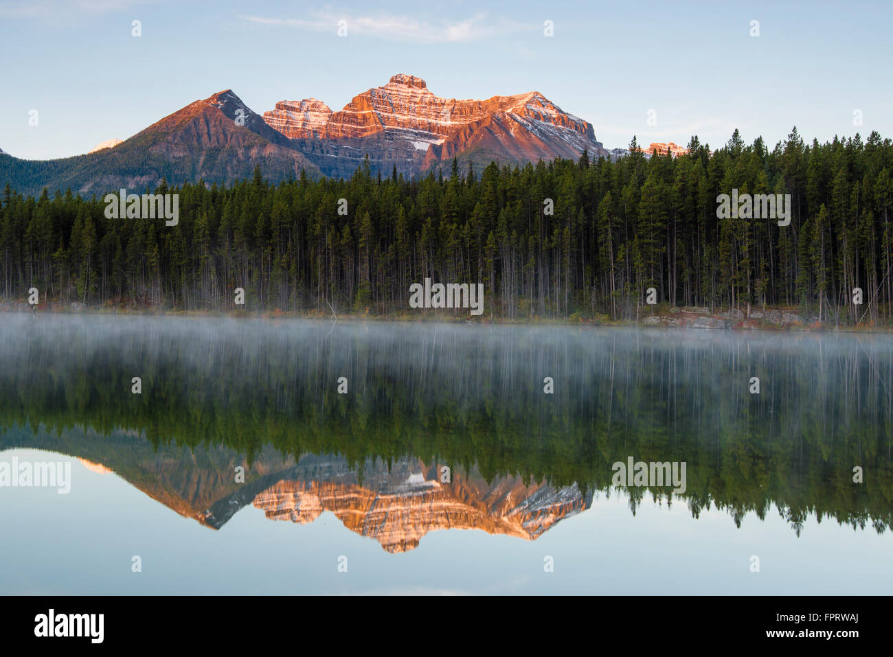 Der Bug-Bereich spiegelt sich in Herbert Lake in der Morgendämmerung, Banff Nationalpark, Kanadische Rockies, Provinz Alberta, Kanada Stockfoto