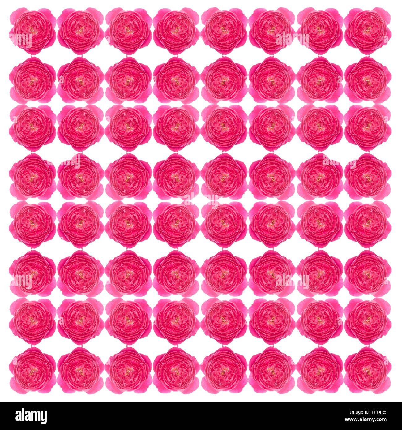 Damaszener Rose Musterdesign Hintergrund Stockfoto
