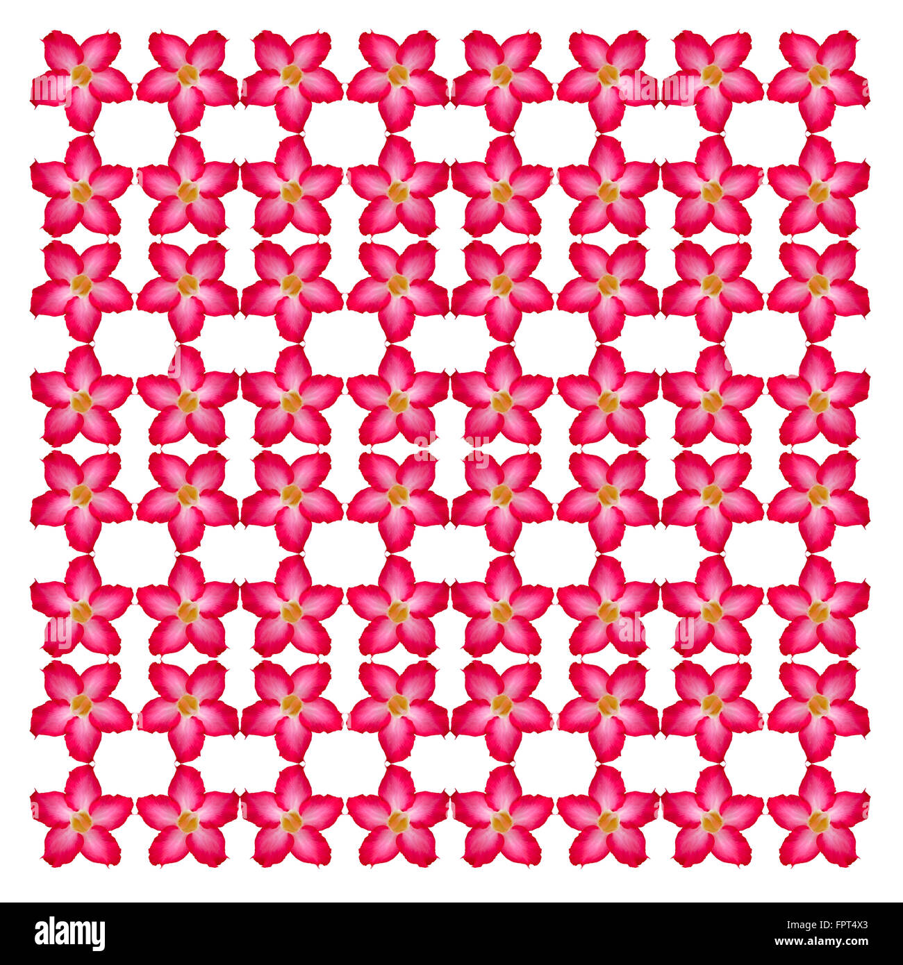 Rosa Wüste Musterdesign Hintergrund Stockfoto