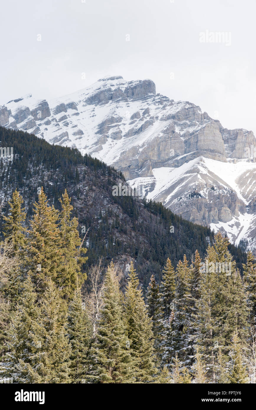 Blick auf Schnee bedeckt Berge vom Banff in den Rocky Mountains Nationalpark Banff Kanada Stockfoto