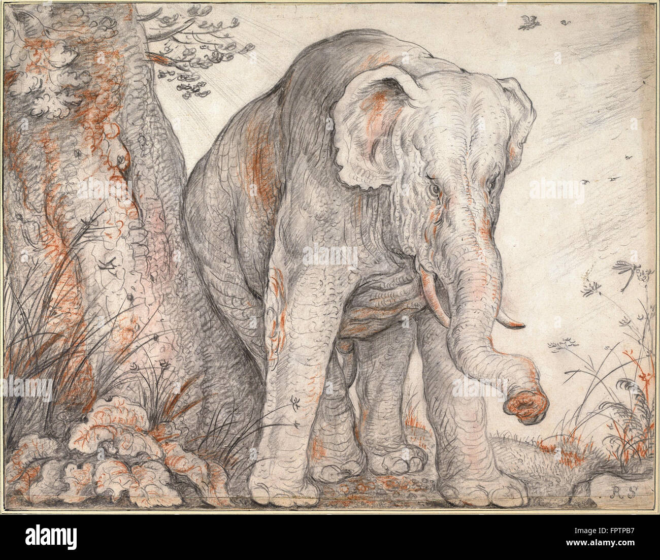 Roelant Savery - ein Elefant reibt sich gegen einen Baum - c. 1608 1612 Stockfoto