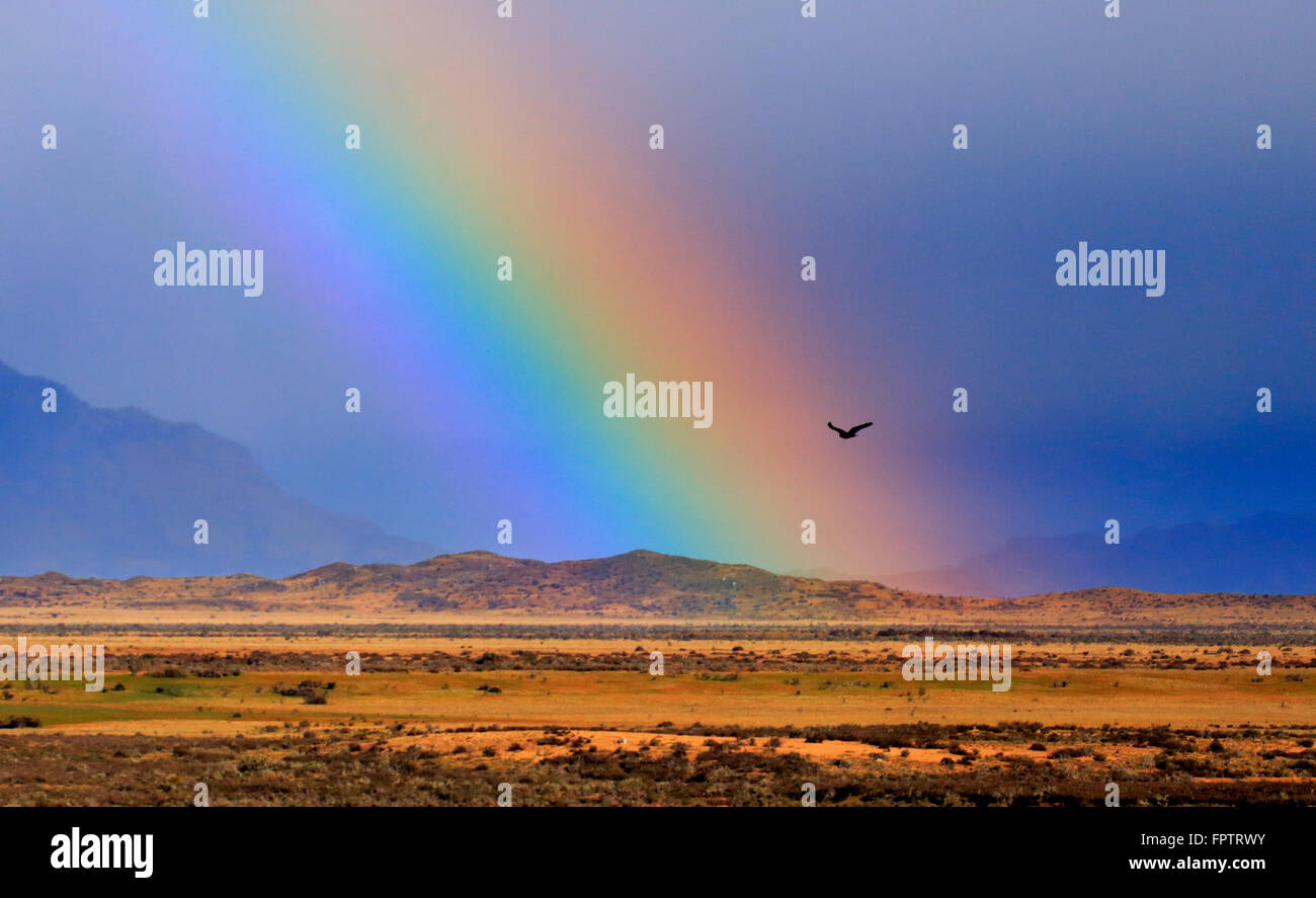 Regenbogen und Adler in El Chalten, Santa Cruz, Patagonien Argentinien Stockfoto