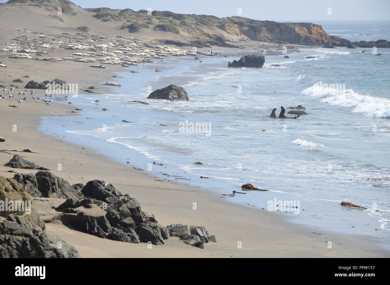 Ein Ozean Szene aus entlang des Pacific Coast Highway in Kalifornien, USA. Stockfoto