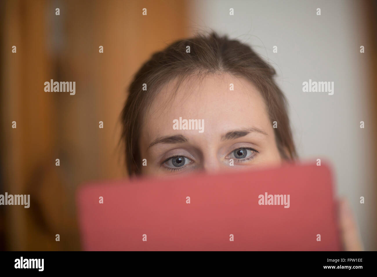 Junge Frau arbeitet an einem digital-Tablette, Freiburg Im Breisgau, Baden-Württemberg, Deutschland Stockfoto