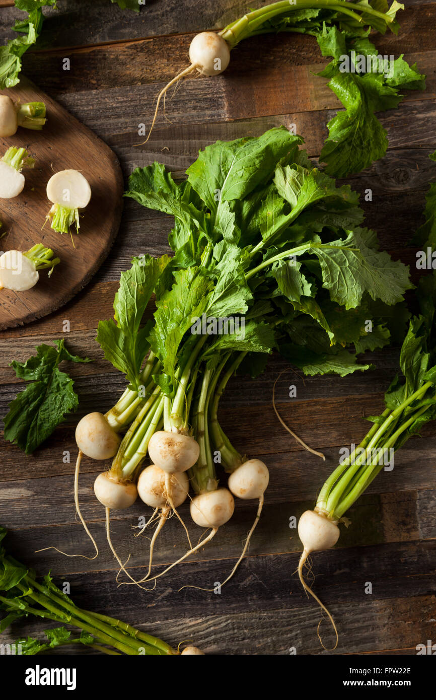 Rohe Bio weiße Radieschen mit grünen Stängel Stockfoto