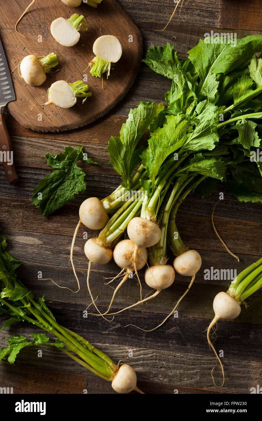 Rohe Bio weiße Radieschen mit grünen Stängel Stockfoto