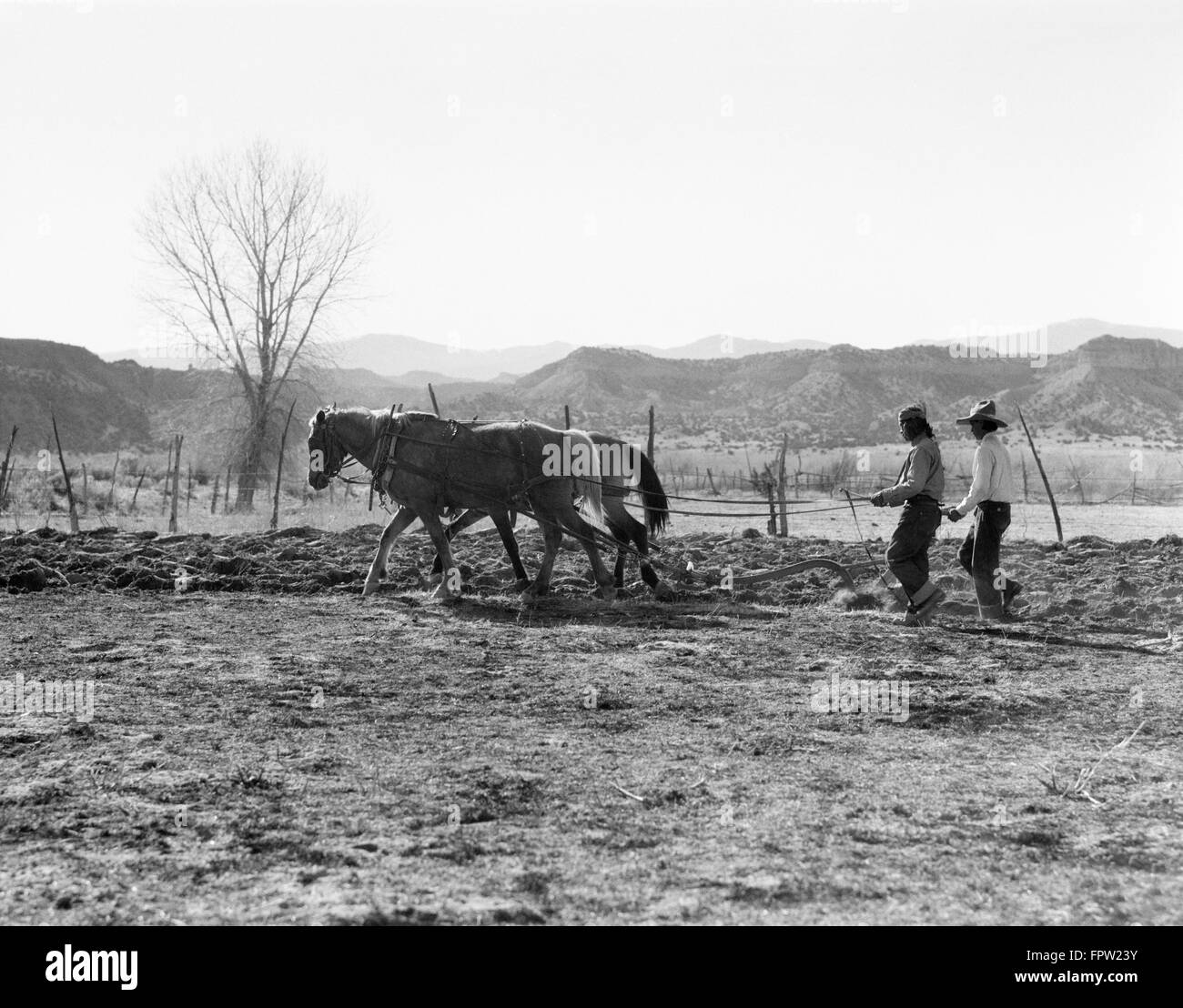 1930ER JAHREN ZWEI INDIANISCHEN BAUERN MÄNNER PFLÜGEN MIT PFERDEN GEZOGENE PFLUG SAN ILDEFONSO PUEBLO NEW MEXICO USA Stockfoto