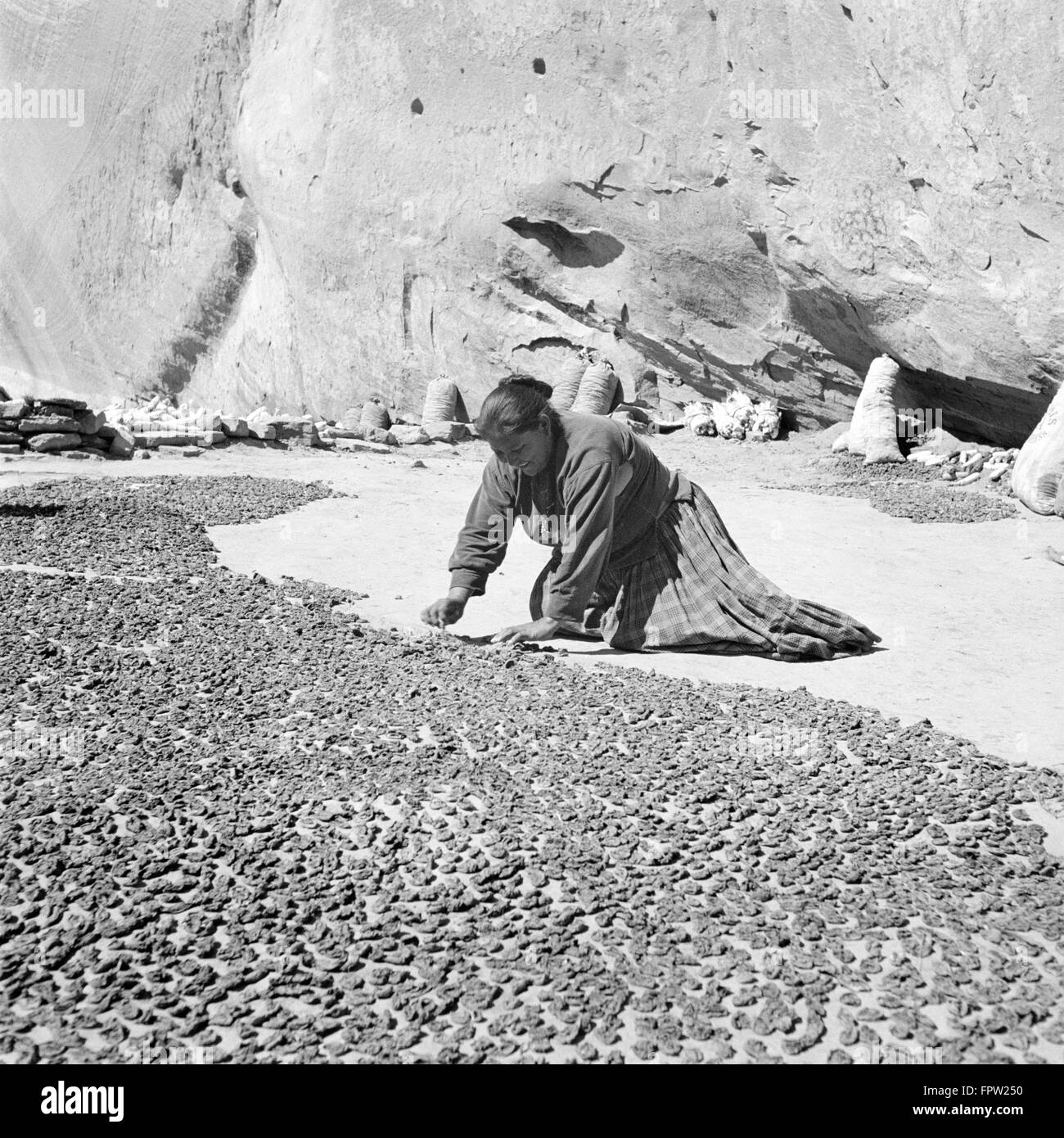 1930ER JAHREN KNIEND INDIANISCHE NAVAJO INDIANERIN TROCKNUNG PFIRSICHE CANYON DEL MUERTO ARIZONA USA Stockfoto