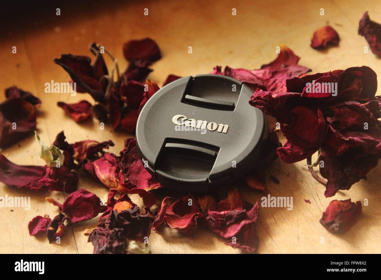 Canon Objektivdeckel auf zerdrückte rote Rosen Stockfoto