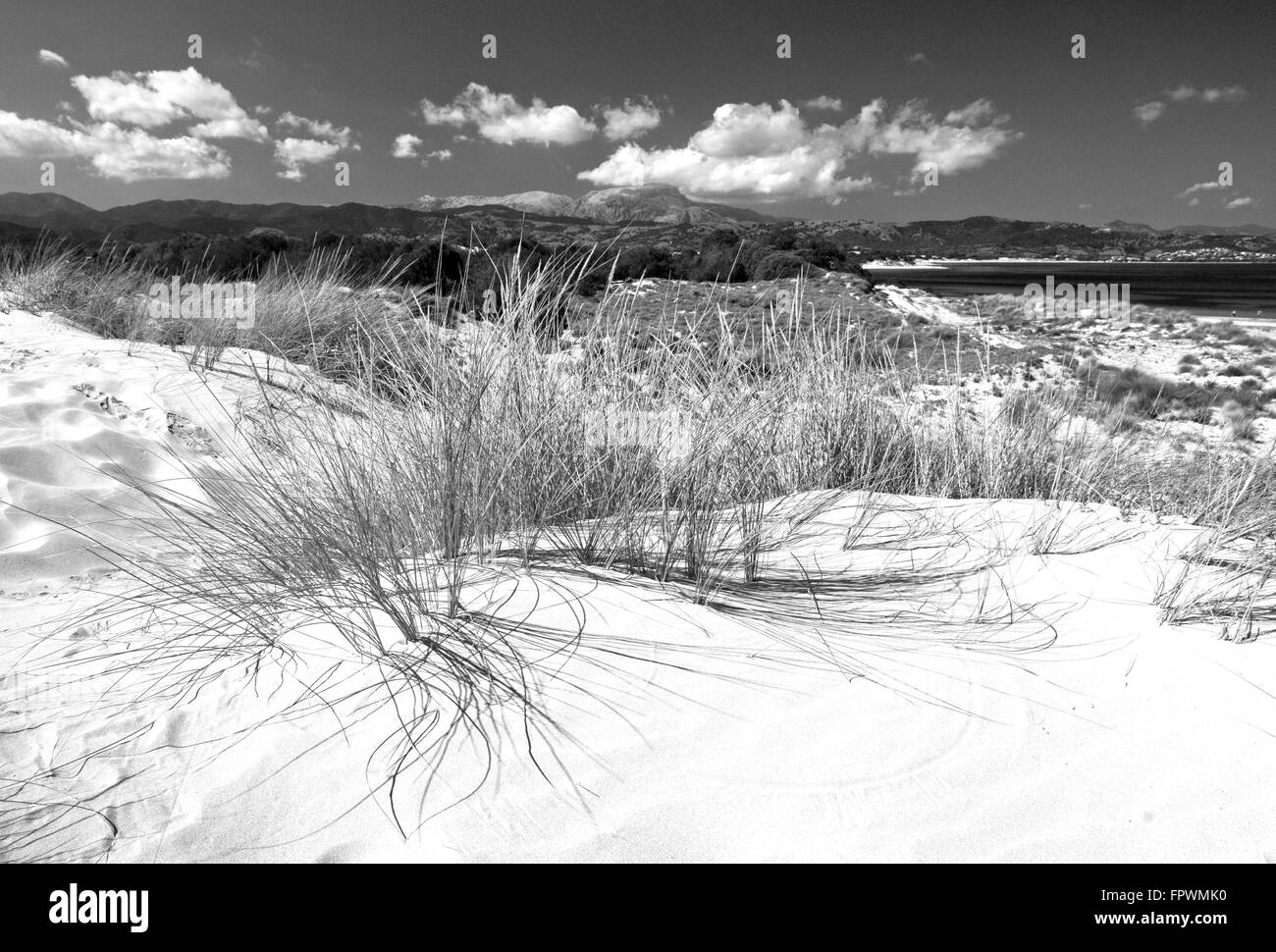 Siniscola, Sardinien, Italien, 10/2012. Sanddünen am Strand von Capo Comino in einem hellen und sonnigen Tag Stockfoto