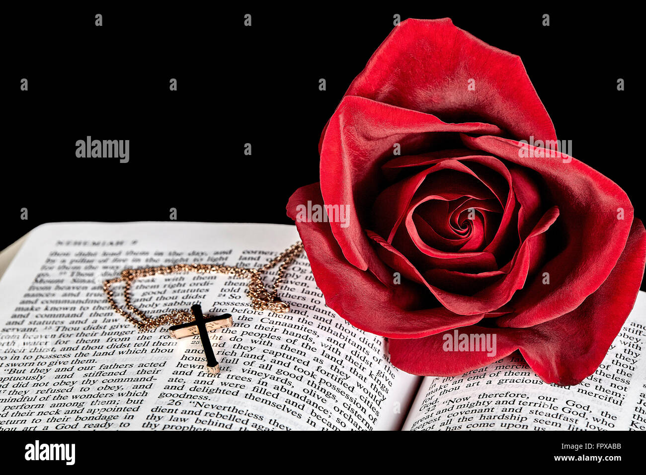 rote Rose auf Buch mit gold Kreuz Anhänger Halskette mit schwarzem Hintergrund Stockfoto