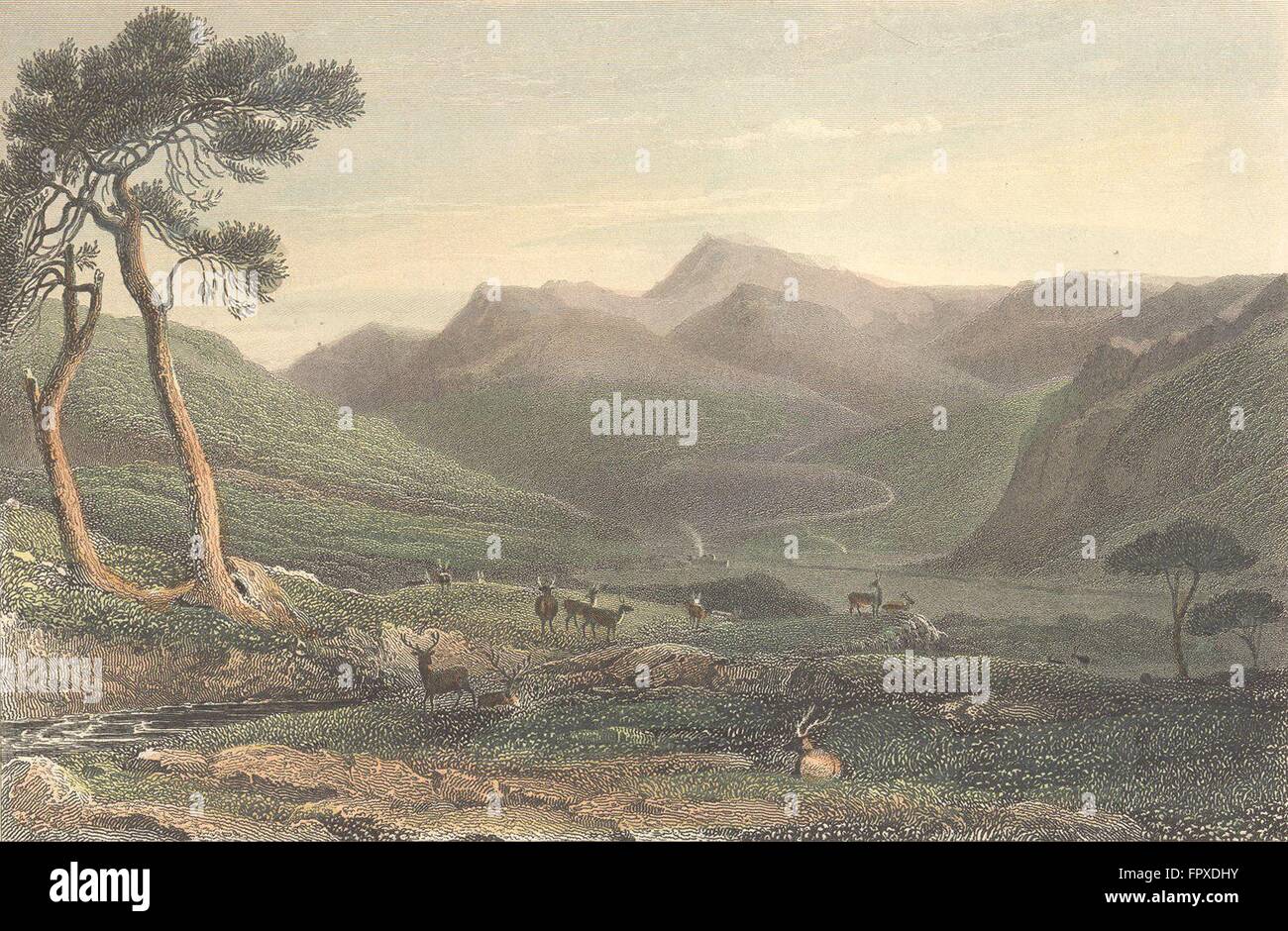 Schottland: Lachin-y-Gair: Wales Rehe Weiden Finden, antique print 1833 Stockfoto