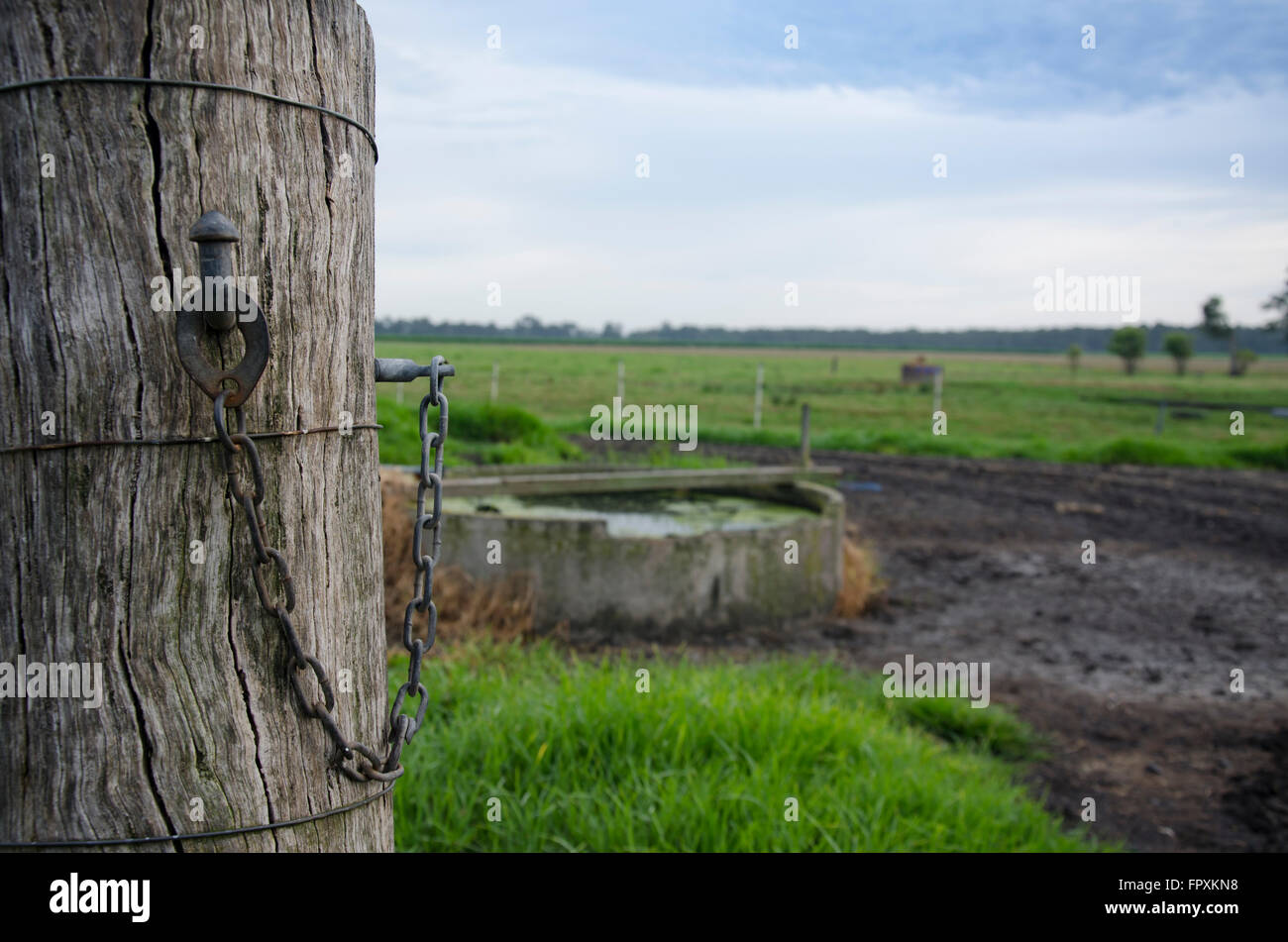 Eine alte Holztor Post und einem Kettenschloss auf einer Milchfarm in Australien Stockfoto