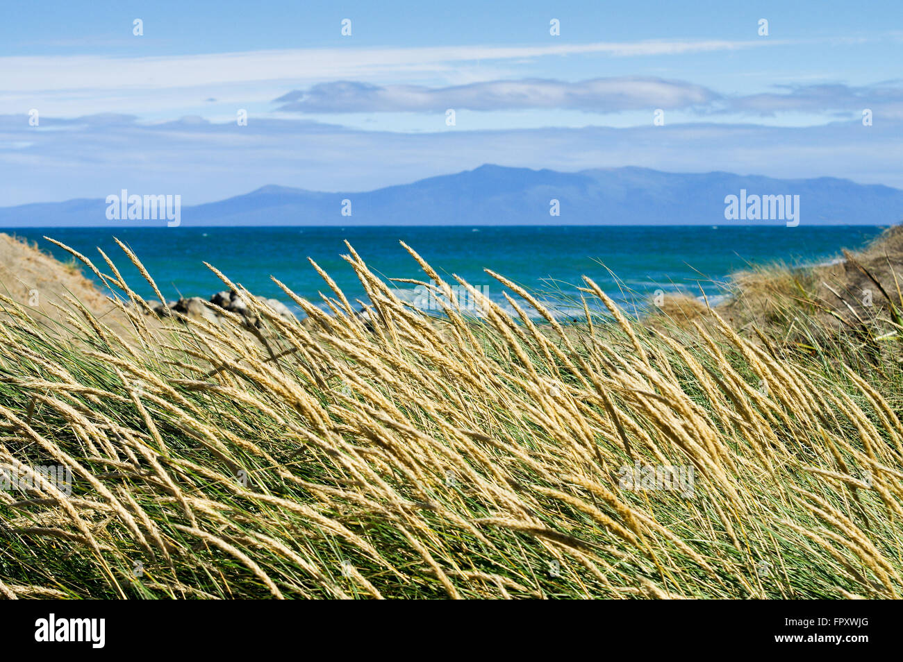 Blick auf Stewart Island über Foveaux Strait vom Strand in Howells Punkt - Riverton, Neuseeland Stockfoto