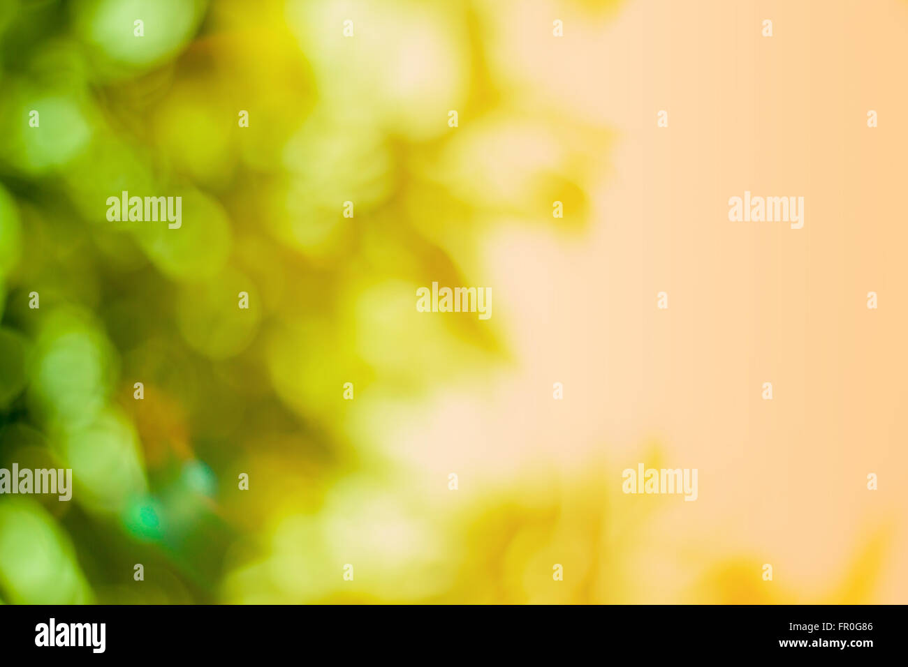 Licht aus Fokus Hintergrund Unschärfe grün gefärbt Stockfoto