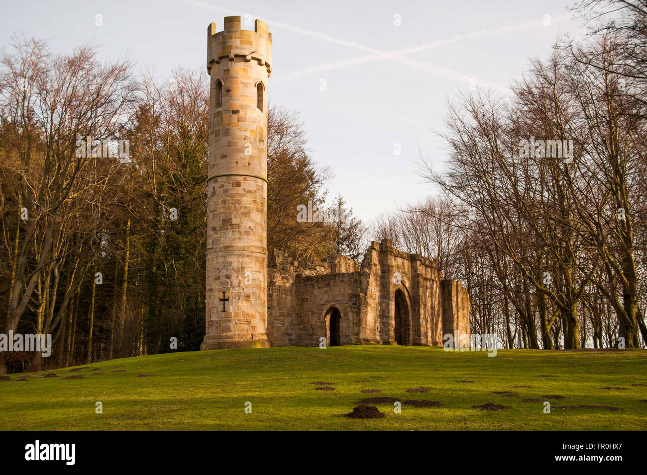 Die gotische Ruine, Hardwick Hall Estate, Sedgefield, Co. Durham, England, UK Stockfoto
