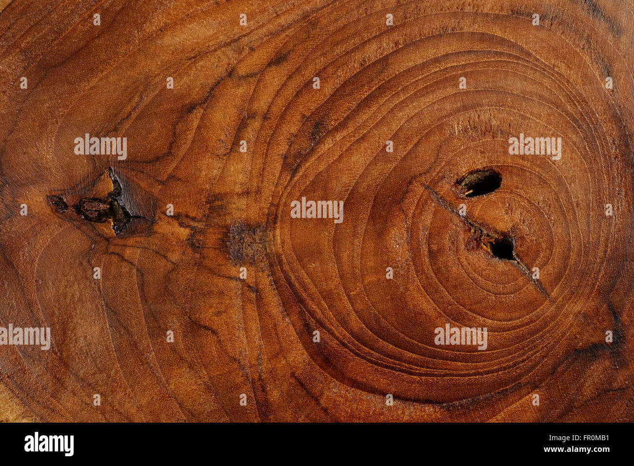 Holz-Textur des Schnittes Baumstamm, close-up Stockfoto