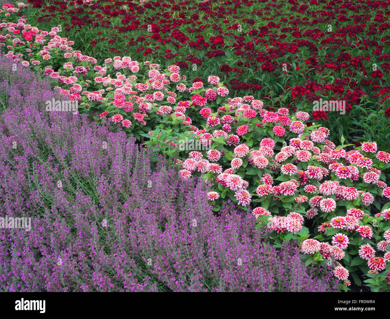 Blumenbeete in Oregon Garden, Silverton, Oregon Stockfoto
