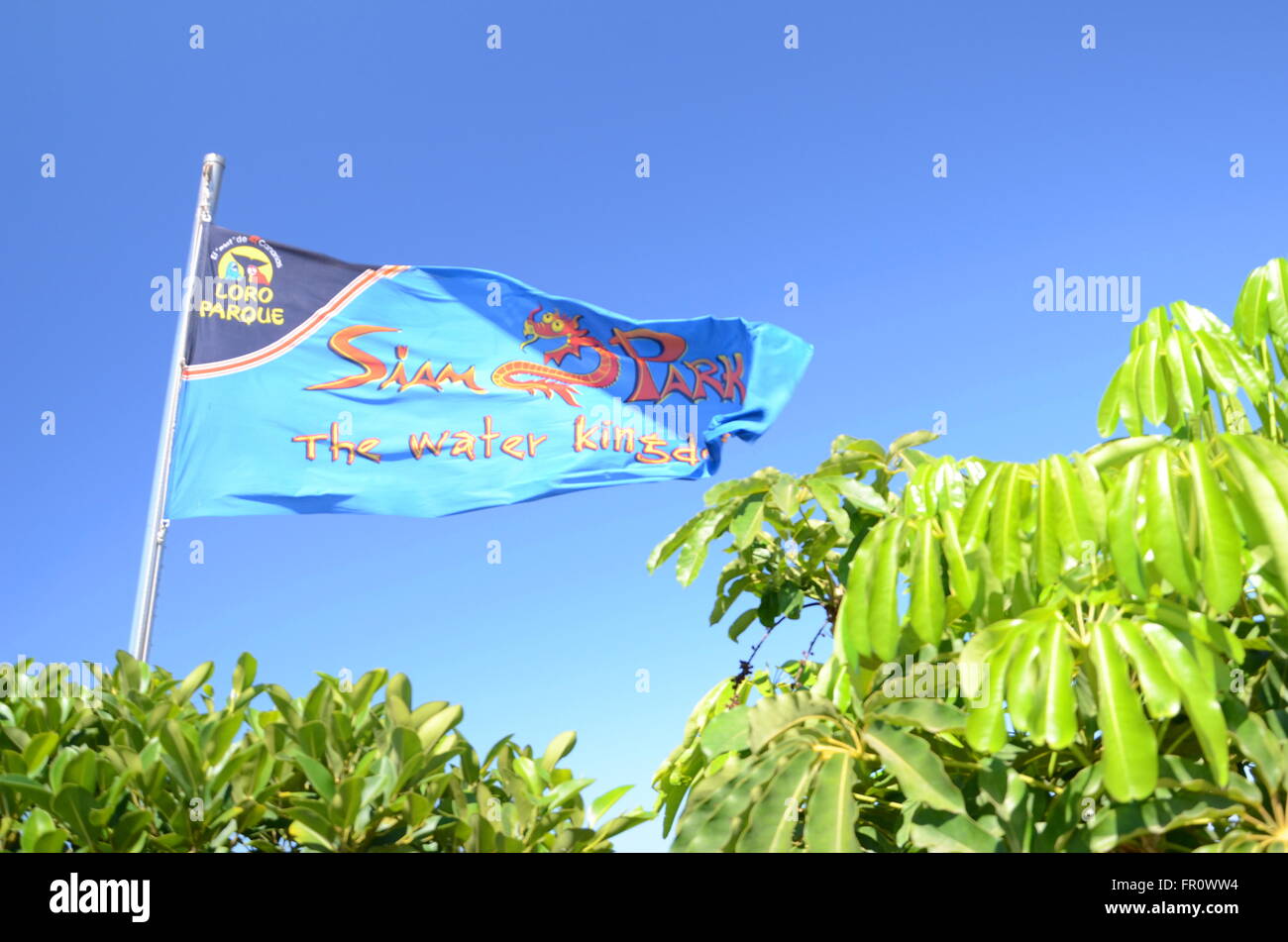 Wehende Flagge von Siam Park gegen blauen Himmel auf Teneriffa Stockfoto