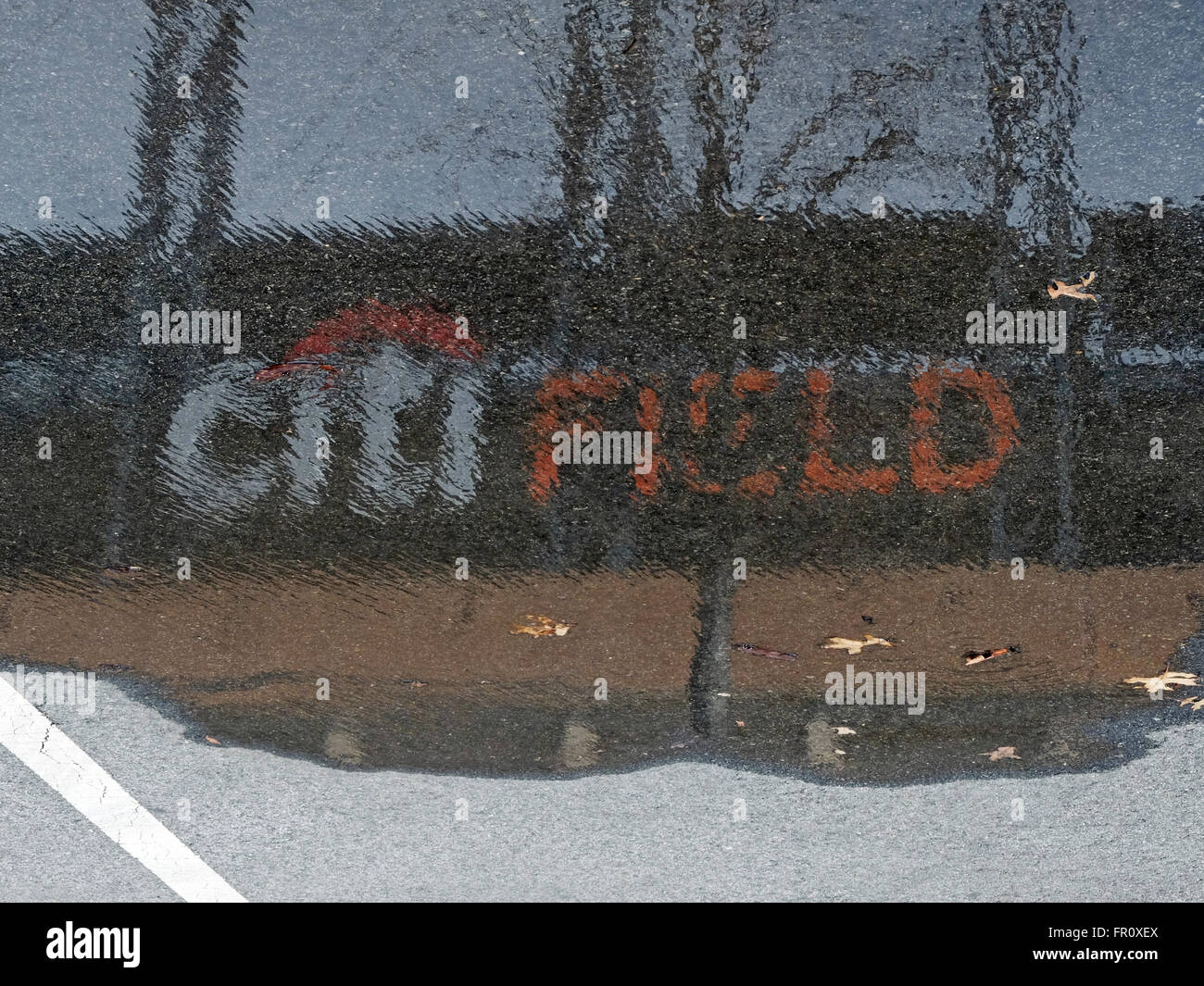 Die Reflexion des Citi Field Logos in einer Pfütze auf dem Stadion-Parkplatz in Flushing, Queens, New York City. Stockfoto