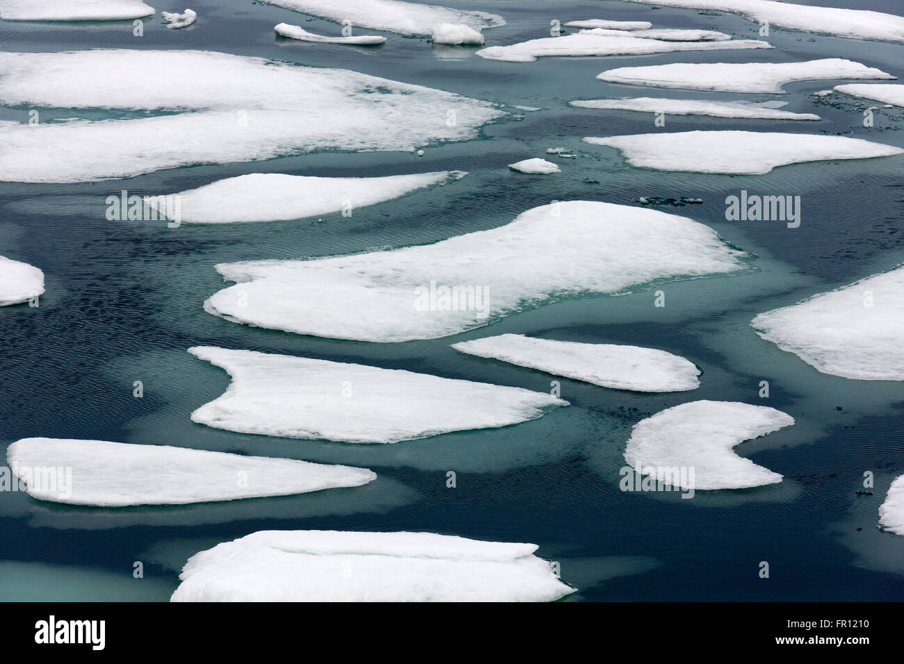 Treibeis in Tschuktschensee, russischen Fernen Osten Stockfoto